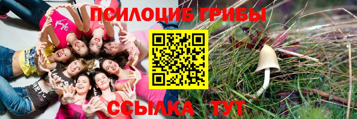 Галлюциногенные грибы прущие грибы Благодарный