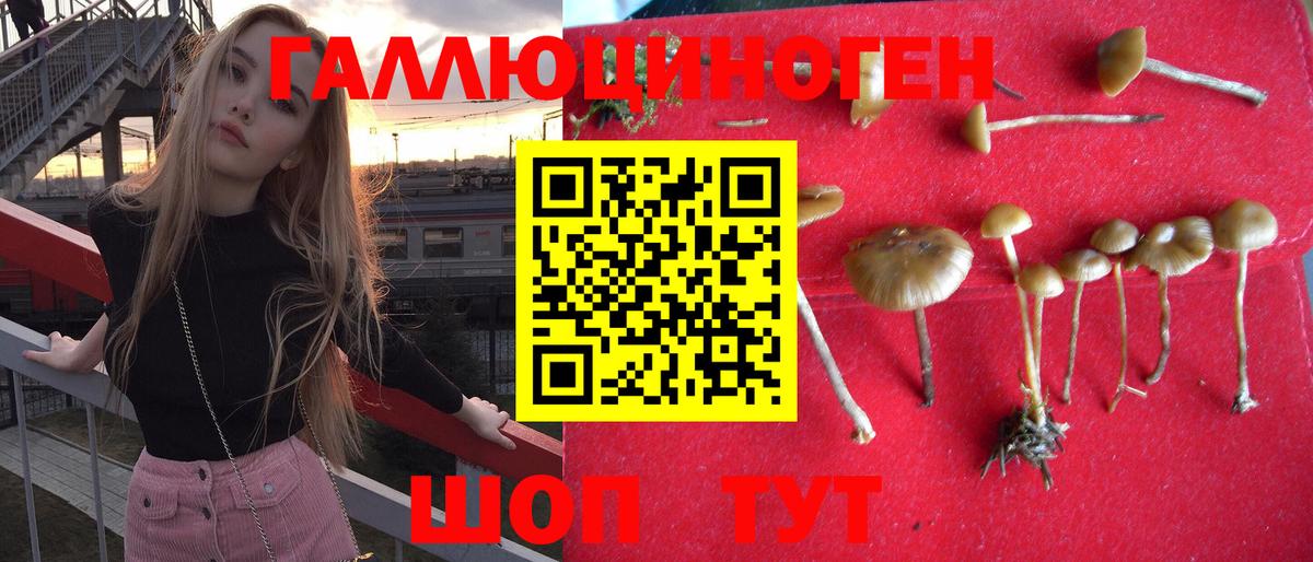 Псилоцибиновые грибы Cubensis  Галлюциногенные грибы Cubensis  купить наркотик  Благодарный  Вход с VPN 